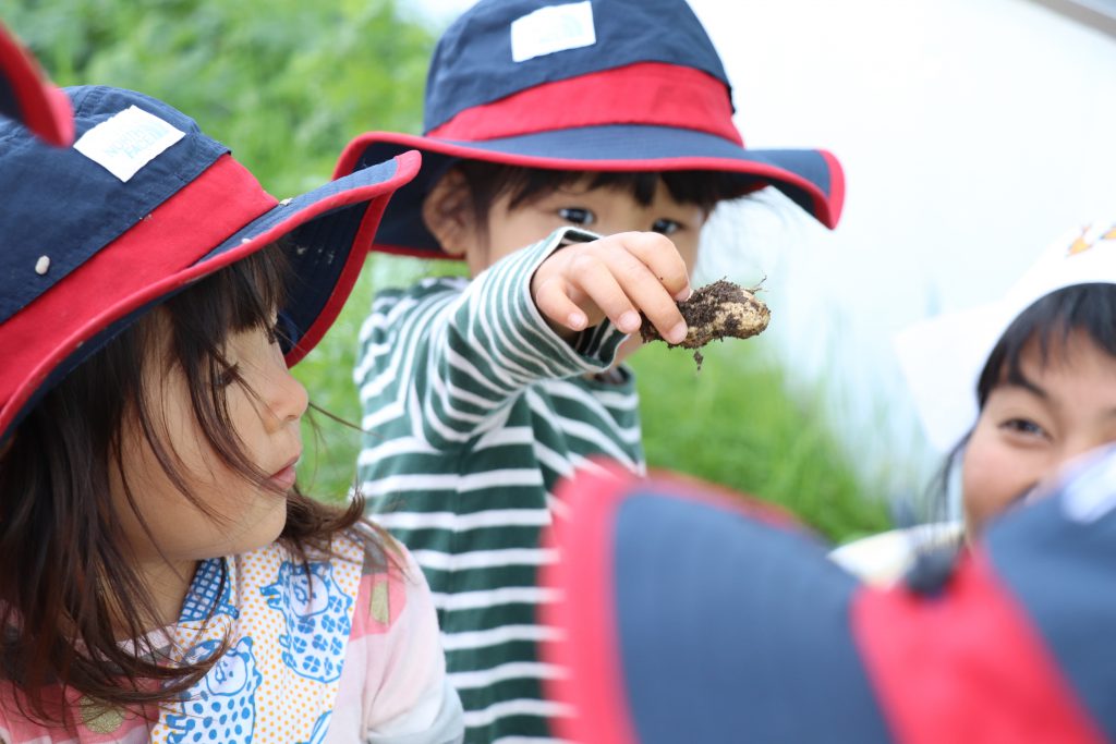 "落花生からピーナッツバター"