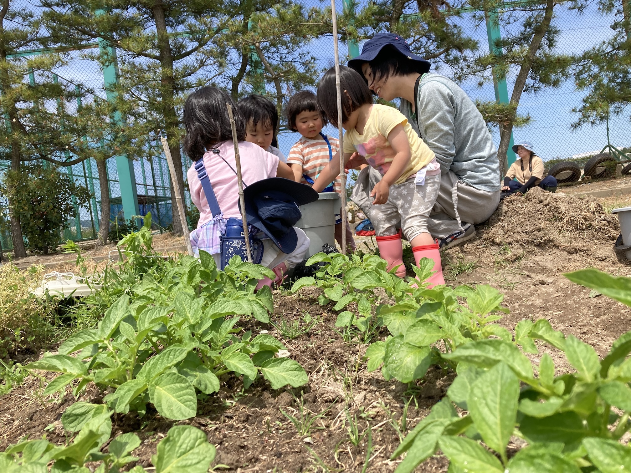 "~やまのこガーデン・HATAKEの中の子どもと大人~"